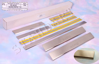 Накладки порогов Standart Natanika для Skoda Rapid 2013- PS-SK10 (8 шт.)